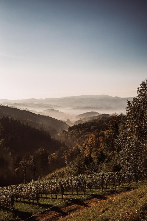 Weingut Kollerhof Am Eichberg Vakantieboerderij
