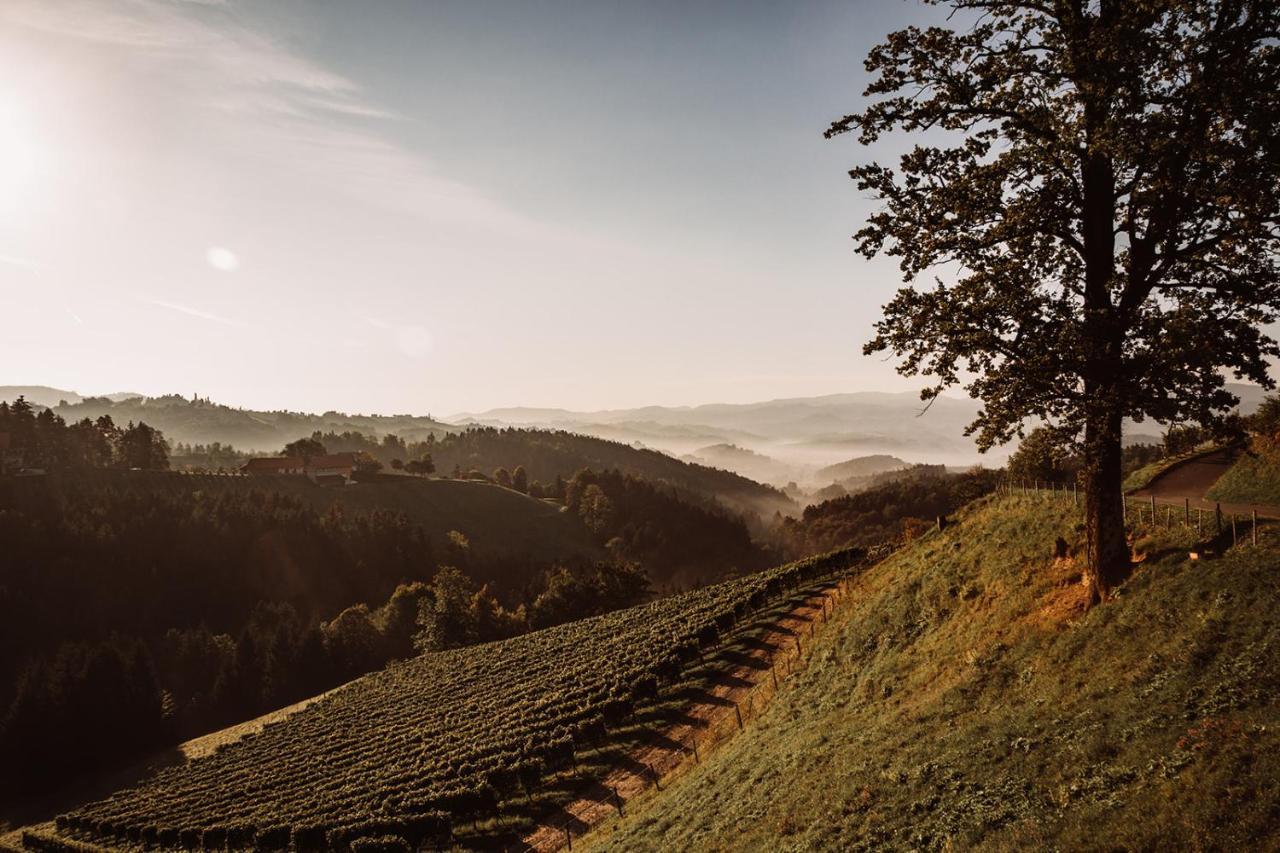 Gospodarstwo agroturystyczne Weingut Kollerhof Am Eichberg Leutschach