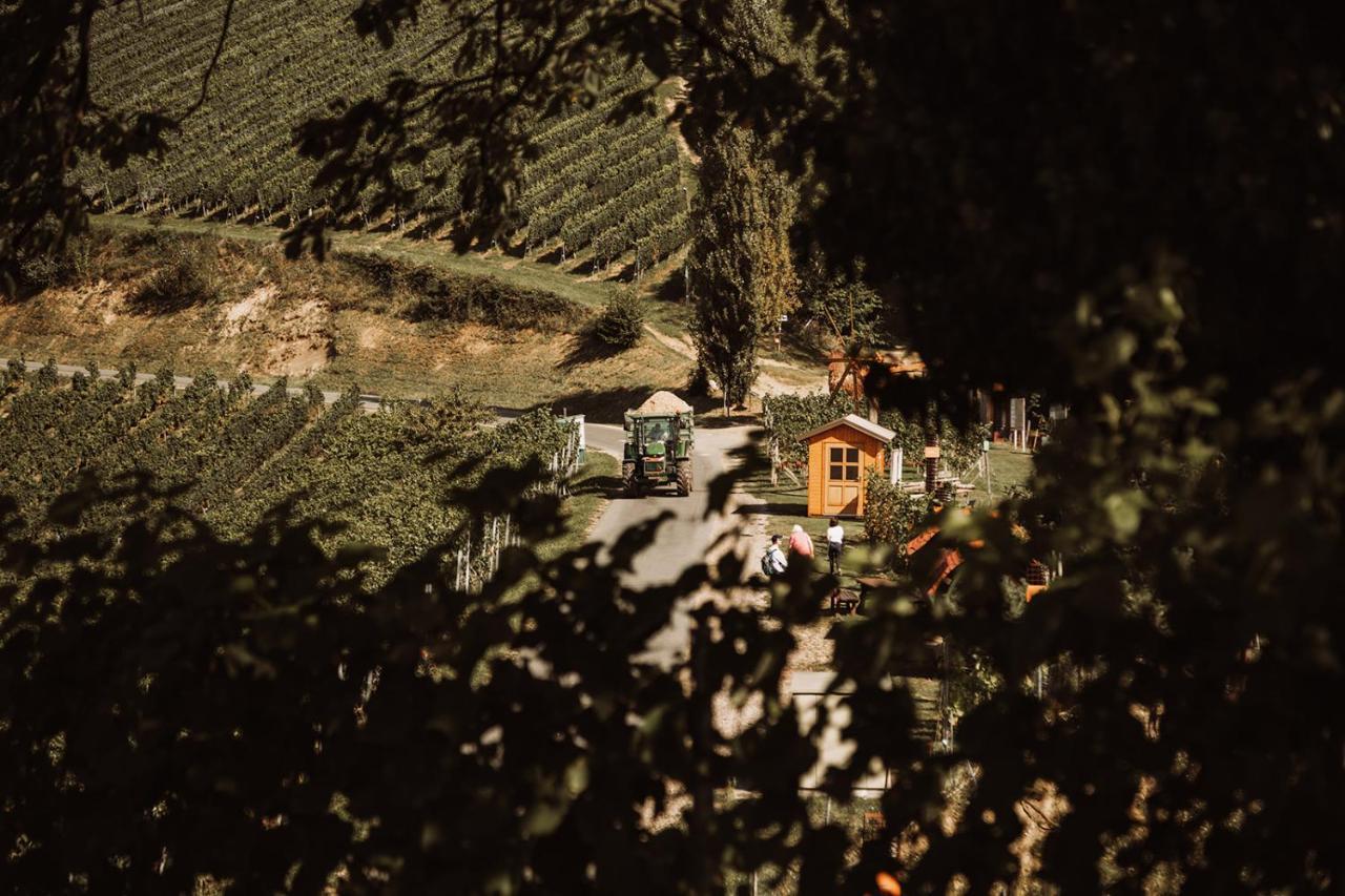 Weingut Kollerhof Am Eichberg Séjour à la ferme