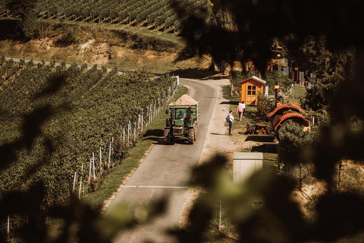 Séjour à la ferme Weingut Kollerhof Am Eichberg Leutschach