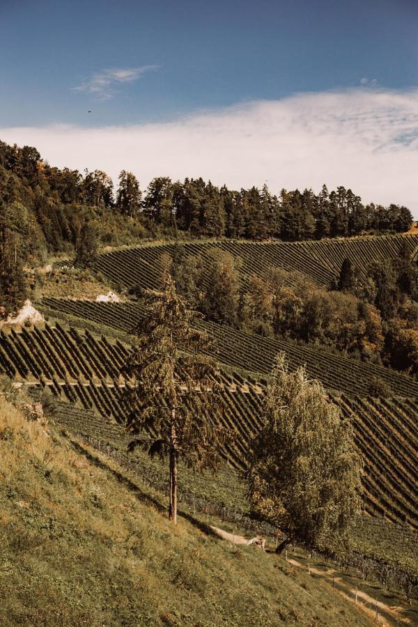 Séjour à la ferme Weingut Kollerhof Am Eichberg *